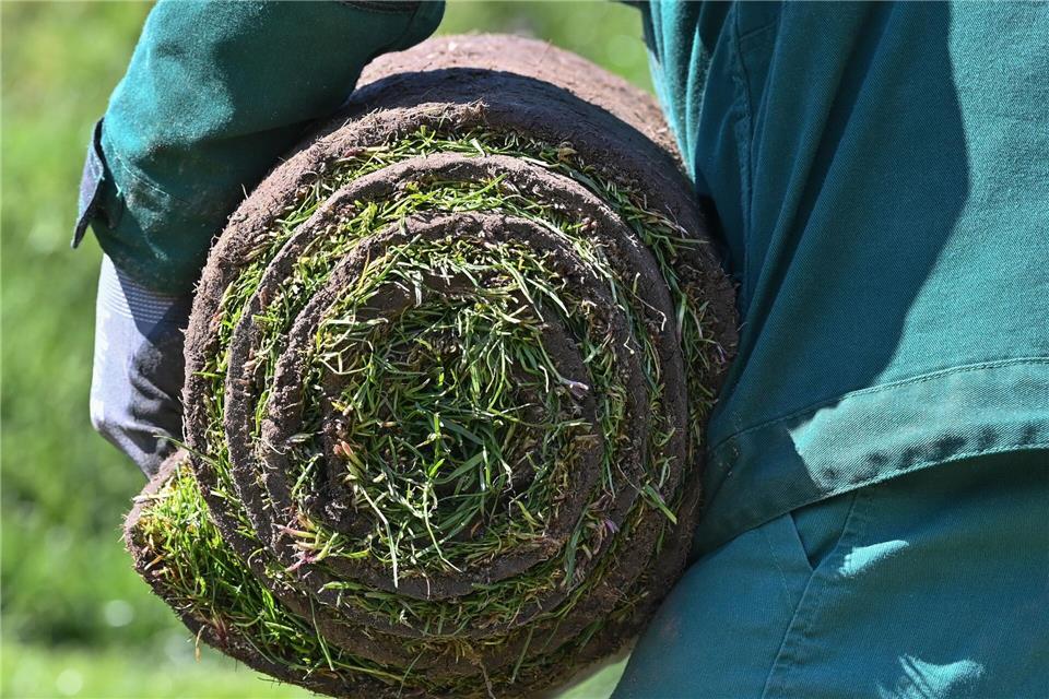 Die Diskussionen über den Klimawandel haben dem Garten- und Landschaftsbau Zuwachs gebracht. (Archivbild)Patrick Pleul/dpa-Zentralbild/ZB