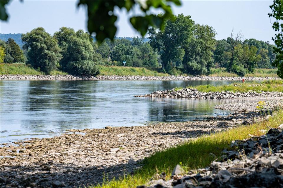 Die Donau führt Niedrigwasser.Armin Weigel/dpa
