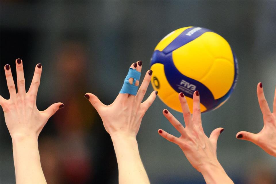 Die Dresdner Volleyballerinnen legen im Viertelfinale des CEV-Cups vor. (Illustration)Robert Michael/dpa