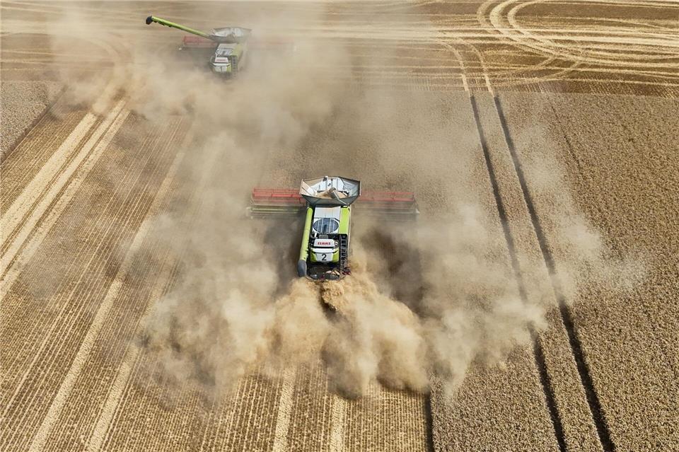Die Dürre schlägt nach Brancheneinschätzung auf die Ernte 2026 durch. (Archivbild)Peter Gercke/dpa