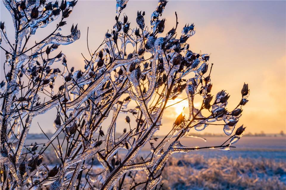 Die Durchschnittstemperatur lag in Brandenburg diesen Monat bei eisigen -2,1 Grad. (Archivbild)Patrick Pleul/dpa