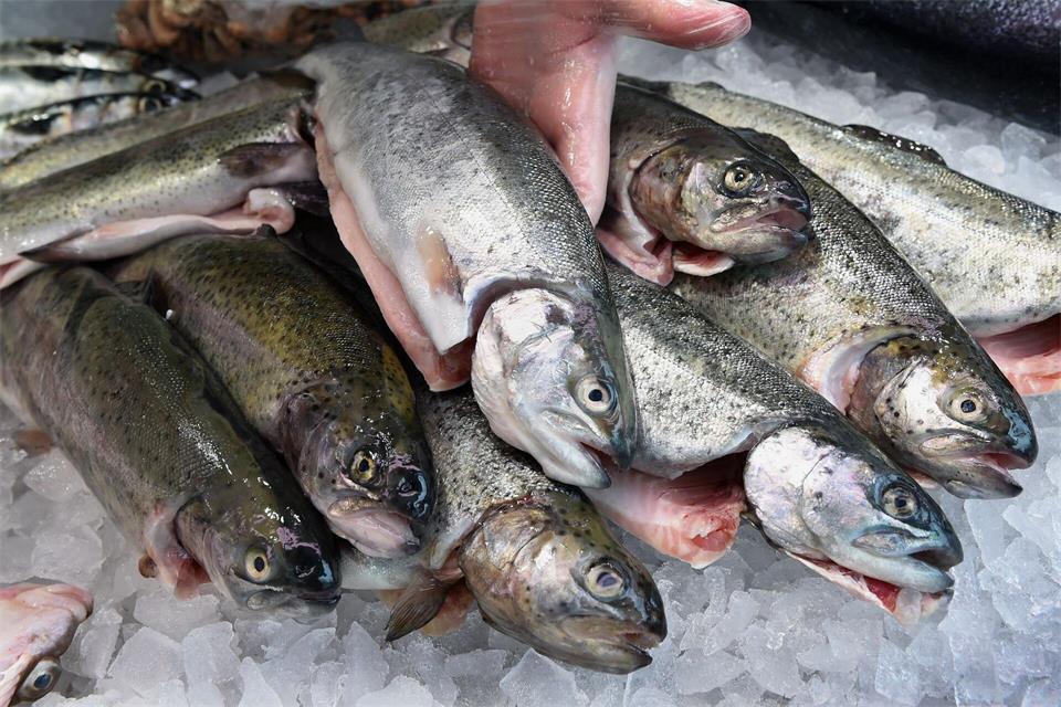 Die EU-Kommission will den Fischfang reformieren (Archivbild)Holger Hollemann/dpa/dpa-tmn