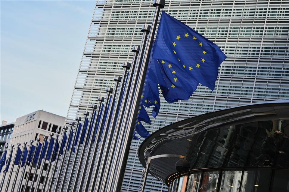 Die EU-Kommission will der Untersuchung Vorrang einräumen (Archivbild)Virginia Mayo/AP/dpa