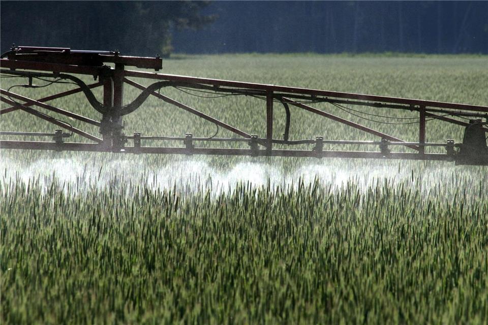 Die EU hat die Genehmigung für Glyphosat zuletzt bis Ende 2033 verlängert. (Symbolbild)Peter Förster/dpa