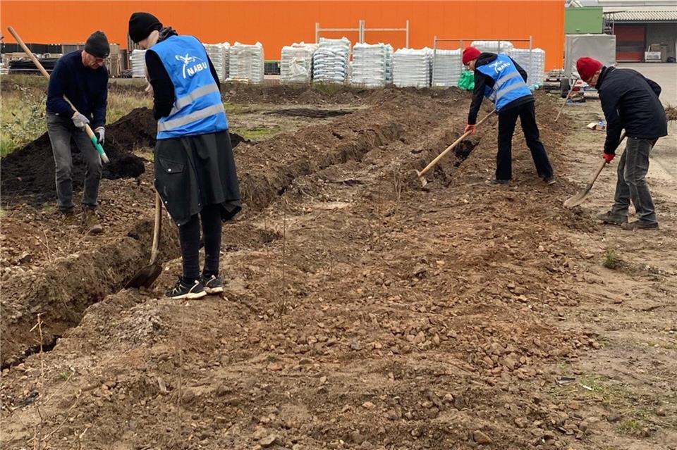 Die Ehrenamtlichen waren bereits auf der Fläche des Baumarkts aktiv. Im ersten Schritt ist eine Hecke gepflanzt worden.