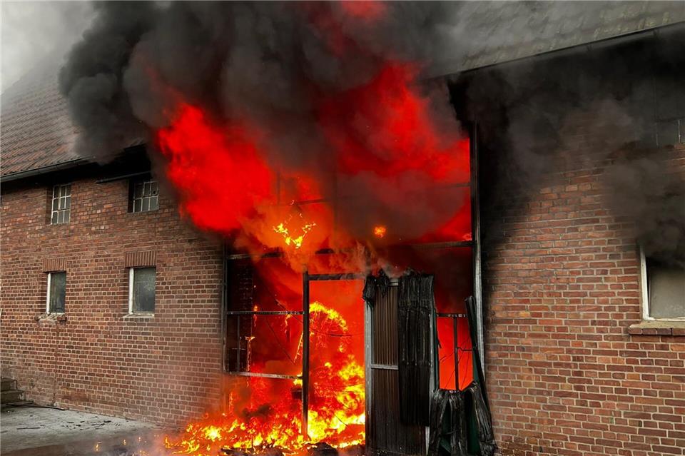 Die Einsatzkräfte mussten gegen meterhohe Flammen kämpfen.  -/Freiwillige Feuerwehr Werne/dpa