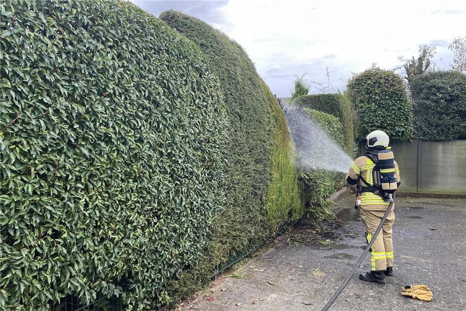 Raesfelder Feuerwehr rückt zu Heckenbrand aus Ein Feuerwehrmann löscht eine Hecke am Weidengrund.