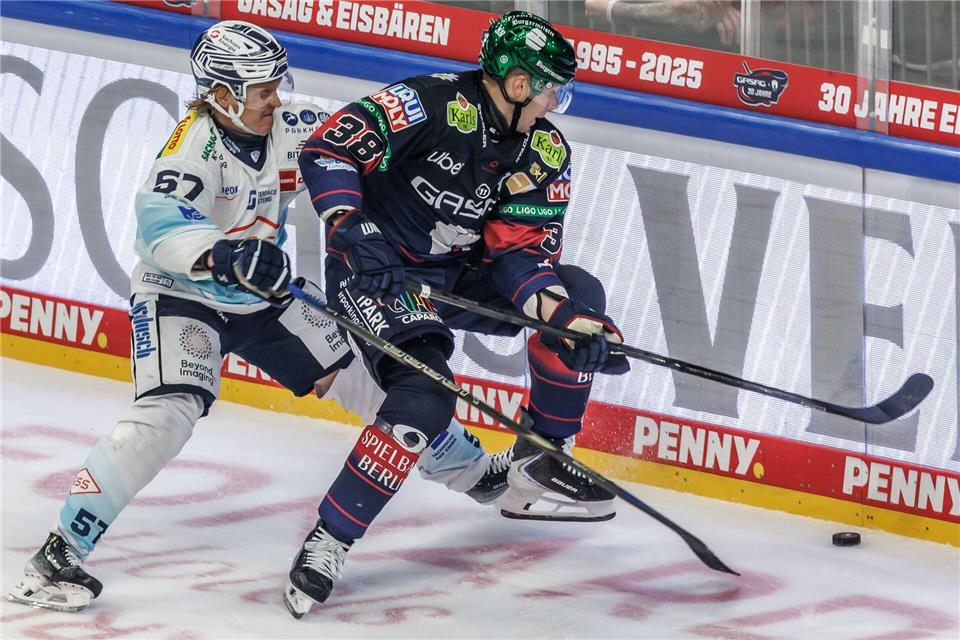 Die Eisbären Berlin treffen im DEL-Winter-Game am Samstag erneut auf die Dresdner Eislöwen.Andreas Gora/dpa