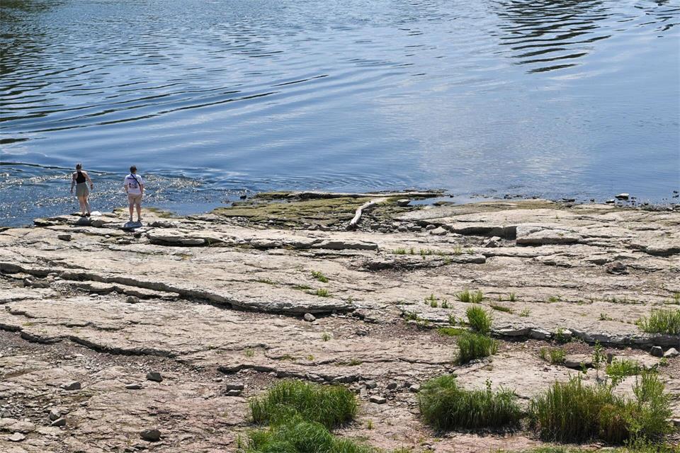 Die Elbe führt derzeit außergewöhnlich wenig Wasser. (Archivbild) Klaus-Dietmar Gabbert/dpa