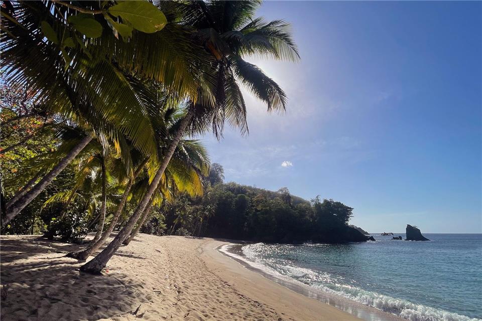 Die Englishman’s Bay gehört zu den schönsten Stränden Tobagos.Manuel Meyer/dpa-tmn