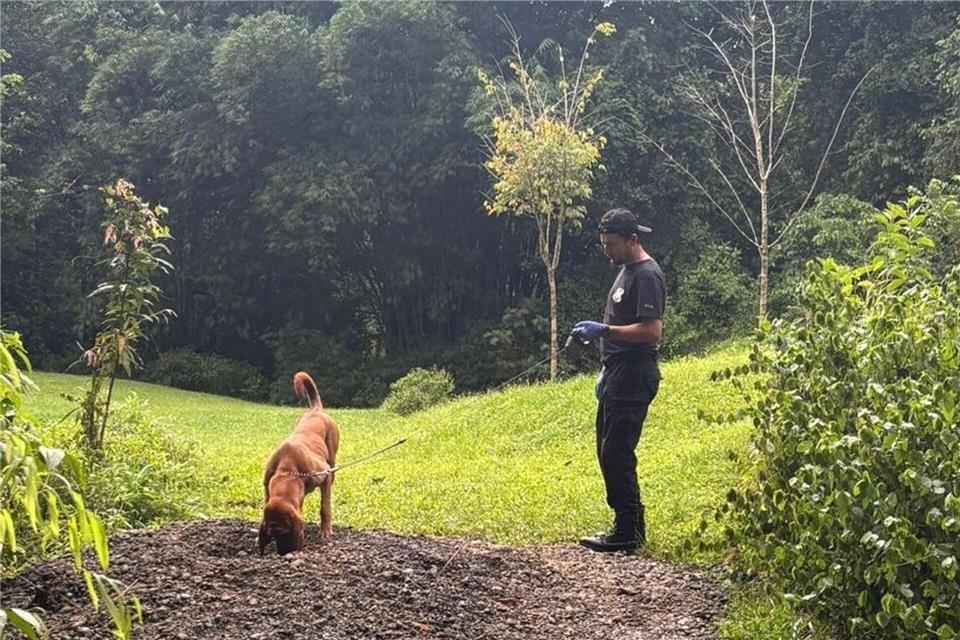 Die Ermittler entdeckten die Leichen mit Hilfe eines Spürhunds.---/OIJ Costa Rica/dpa