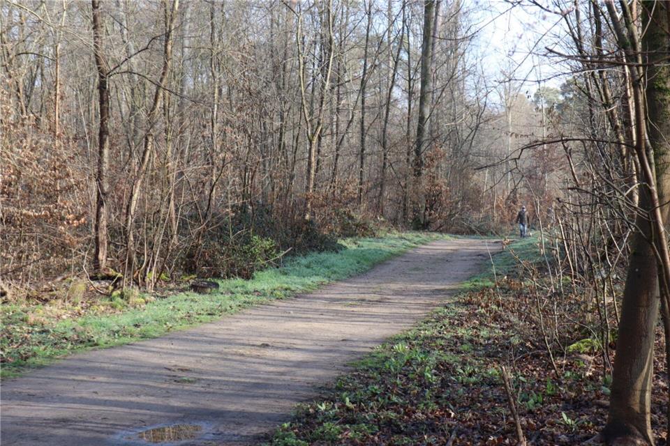 Die Ermittler geben sich rund eine Woche nach dem Fund einer toten 19-Jährigen in einem Wald bei Mannheim bedeckt. (Archivbild)Rene Priebe/dpa