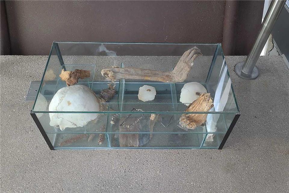Unbekannte stellen Vitrine mit menschlichen Überresten ab Die Ermittler hoffen nun auf Hinweise zu dem mysteriösen Fund. -/Polizeipräsidium Rheinpfalz/dpa