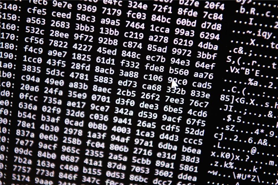 Die Ermittler vermuten eine hohe Dunkelziffer bei Opfern des Cyberbetrugs. (Symbolbild)Nicolas Armer/dpa