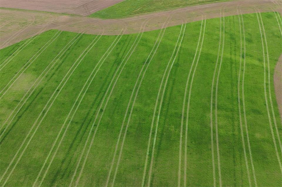 Die Erntebilanz der sächsischen Landwirte fällt in diesem Jahr durchwachsen aus. Katharina Kausche/dpa