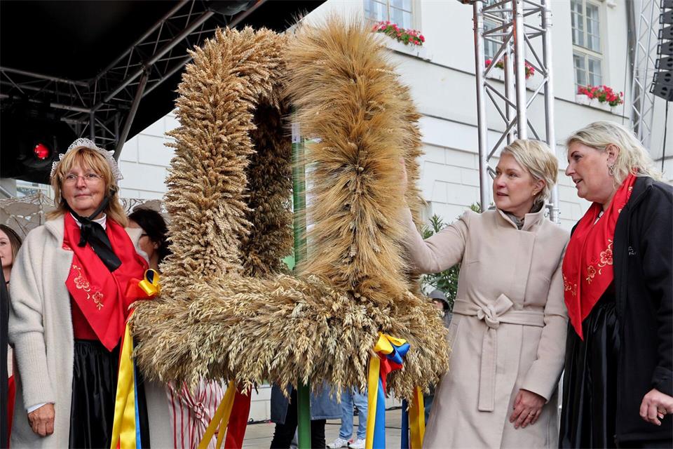 Die Erntekrone wird jedes Jahr von Hand gefertigt - wie sie aussieht, bleibt bis zuletzt ein Geheimnis. (Archivbild)Bernd Wüstneck/dpa