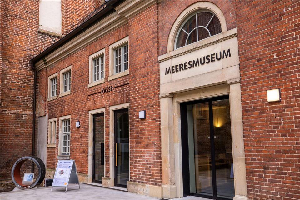 Die Experten des Deutschen Meeresmuseums hoffen - falls der tote Wal der Buckelwal von der Insel Poel ist - auf eine Untersuchung des Kadavers. (Archivbild)Jens Büttner/dpa