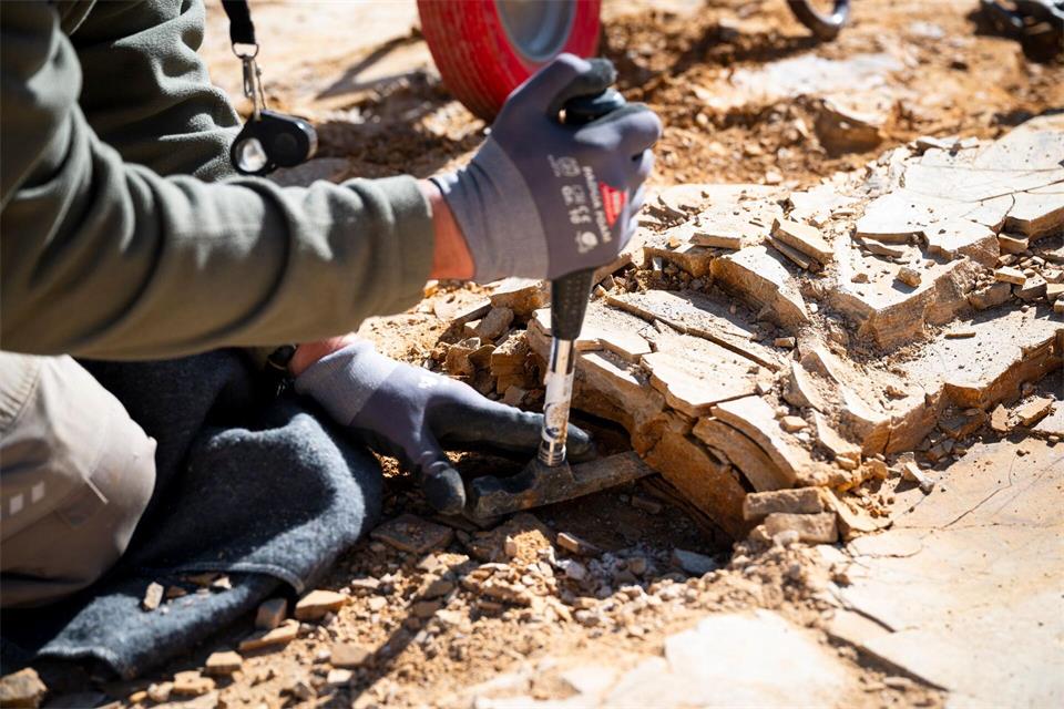 Die Experten suchen nach Fossilien im Plattenkalk.Daniel Vogl/dpa