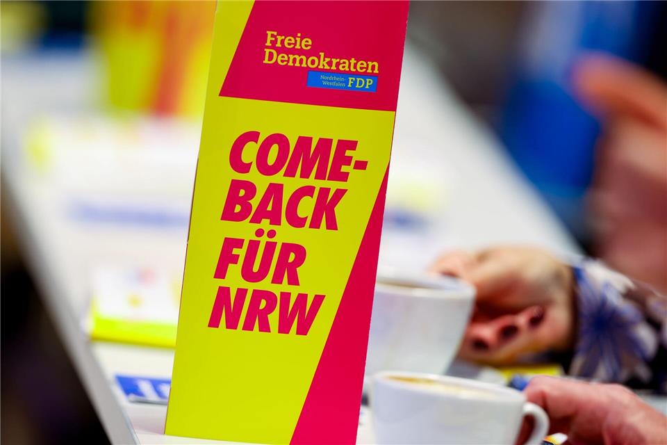 Die FDP kämpft um ihr politisches Überleben.Christoph Reichwein/dpa