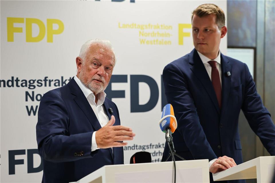 Die FDP will mit vereinten Kräften an einem Comeback arbeiten.Oliver Berg/dpa
