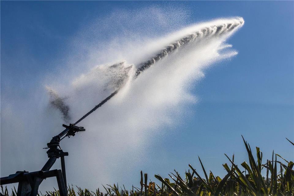 Die Feldberegnung soll im Grundsatz künftig etwas kosten. Philipp von Ditfurth/dpa