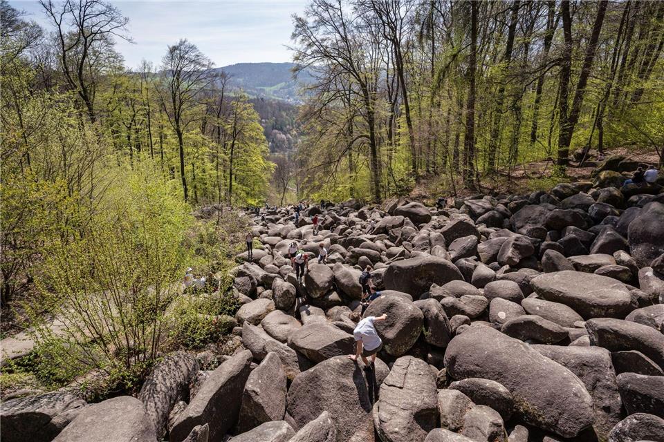 Die Felslandschaft ist ein beliebtestes Ausflugsziel im vorderen Odenwald.Frank Rumpenhorst/dpa