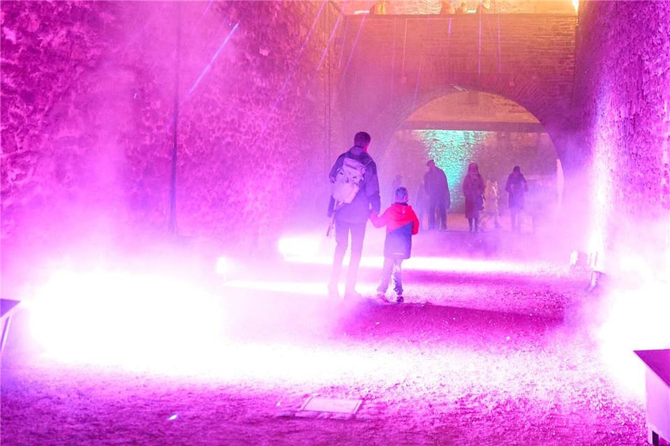 Die Festung Ehrenbreitstein, hoch über dem Rhein bei Koblenz, erstrahlt im Lichterzauber vom „Christmas Garden“.Thomas Frey/dpa