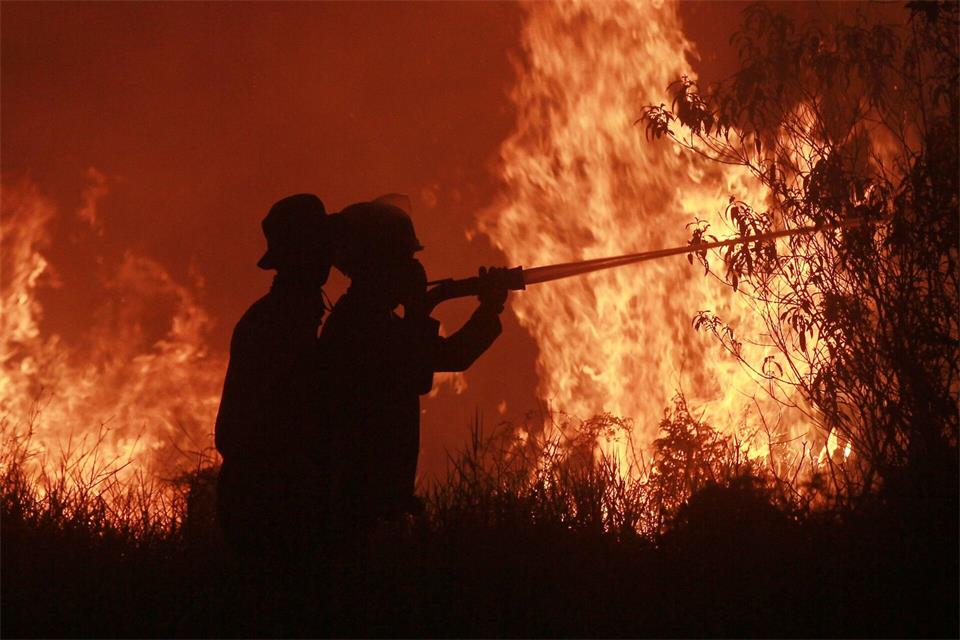 Die Feuer haben verheerende Schäden angerichtet.Muhammad Hatta/AP/dpa