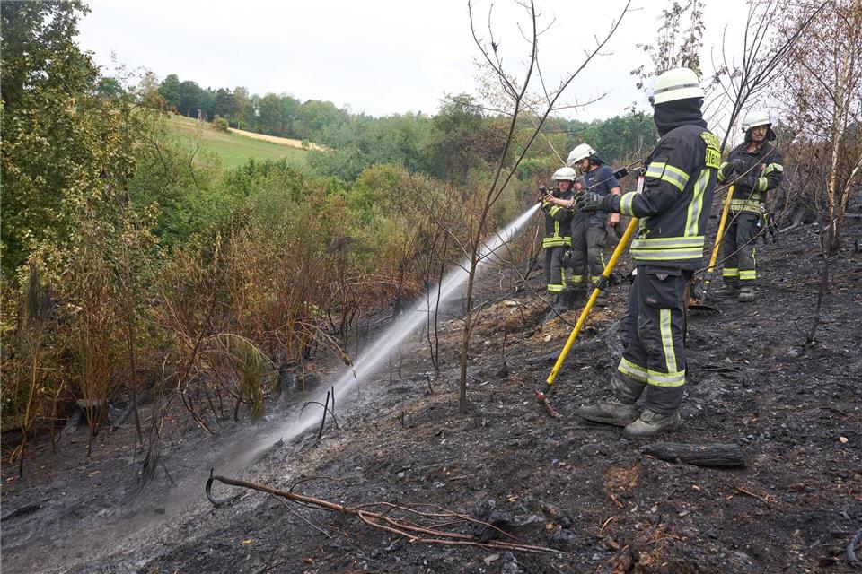 Die Feuerwehr-Gewerkschaft fordert: Deutschland muss besser auf Waldbrände vorbereitet sein. Thomas Frey/dpa
