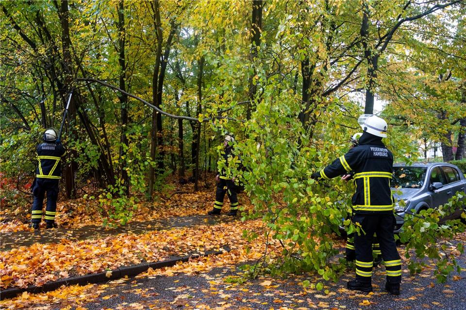 Starker Regen überschwemmt Straßen in Hamburg  Die Feuerwehr Hamburg räumt einen Ast von der Straße, der bei kräftigem Regen und Wind abgeknickt ist. Daniel Bockwoldt/dpa