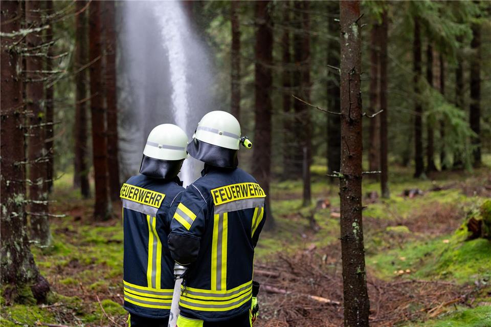 Die Feuerwehr bekämpfte den Brand am Waldboden. (Symbolbild)Daniel Karmann/dpa