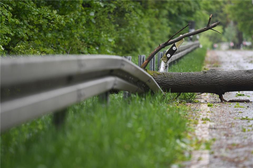 Die Feuerwehr beseitigte den Baum nach dem schweren Unfall. (Symbolbild)Arne Dedert/dpa