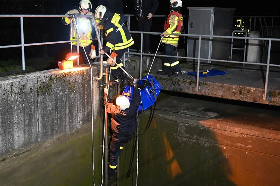 Die Feuerwehr hat ein Lamm aus einem Regenrückhaltebecken gerettet.