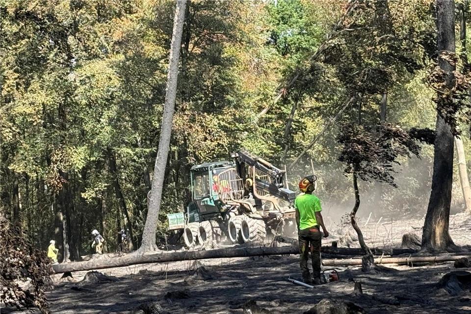 Die Feuerwehr hat einen neuen Brandherd in einem zuvor nicht betroffenen Bereich entdeckt. Mike Seeboth/dpa
