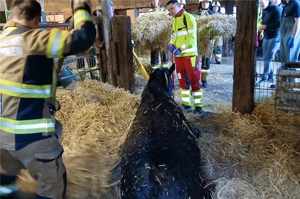 Die Feuerwehr hat in Marbeck bei der Rettung eines Pferdes geholfen.