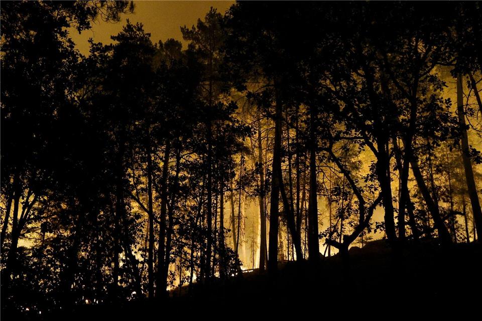 Die Feuerwehr kämpft mit rund 400 Kräften und Löschflugzeugen gegen den Brand im Wald von Fontainebleau. Geoffroy Van Der Hasselt/AFP/dpa