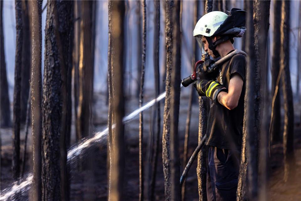 Die Feuerwehr rückte im Juli zu einem Waldband bei Babben im Elbe-Elster-Kreis aus. (Archivbild) Frank Hammerschmidt/dpa