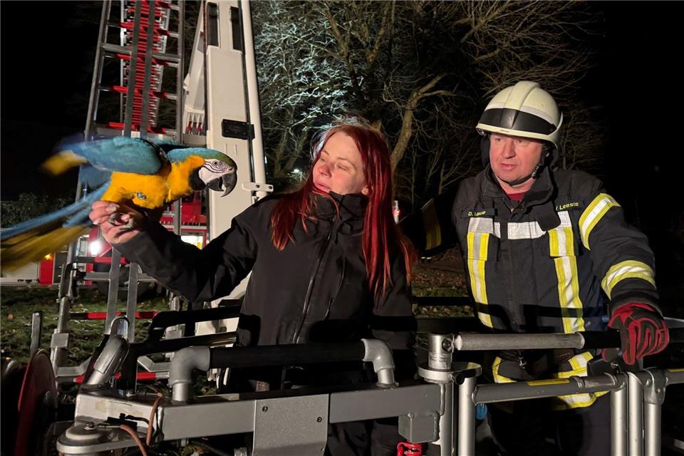 Die Feuerwehr rückte in luftige Höhe aus - für einen tierischen Ausreißer.-/Feuerwehr Weyhe/dpa