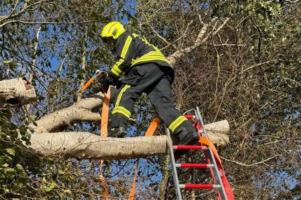 Die Feuerwehr rückte zu mehreren Sturmeinsätzen aus. 