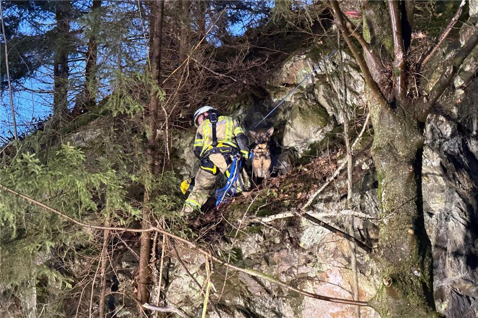 Die Feuerwehr sicherte den Hund.-/Feuerwehr Goslar/dpa