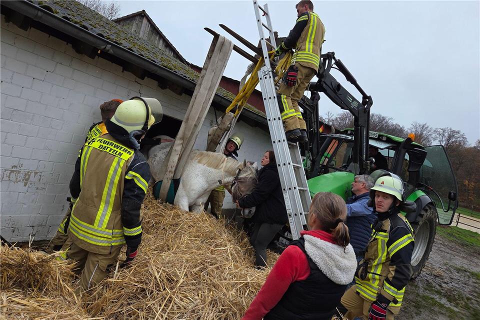 Die Feuerwehr war wegen der Rettungsaktion für ein Pferd in Datteln im Einsatz.-/Feuerwehr Datteln/dpa