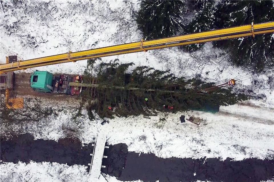 Die Fichte aus dem Oberharz soll am Dienstag am Bundestag aufgestellt werden.-/dpa
