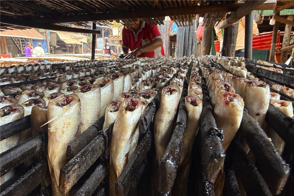 Die Fische werden zunächst in einer Salzlake eingelegt und dann geräuchert.Carola Frentzen/dpa