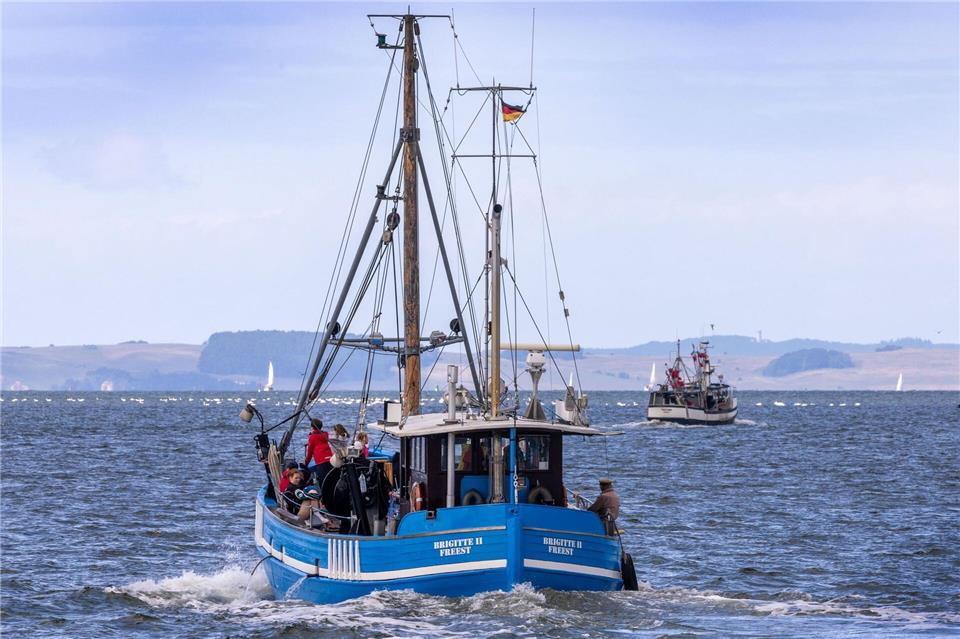 Heringsfangstopp: Notwendig oder „blanke Katastrophe“?  Die Fischer vertrauten darauf, dass die festgelegten Fangmengen nachhaltig seien. (Symbolbild)Jens Büttner/dpa