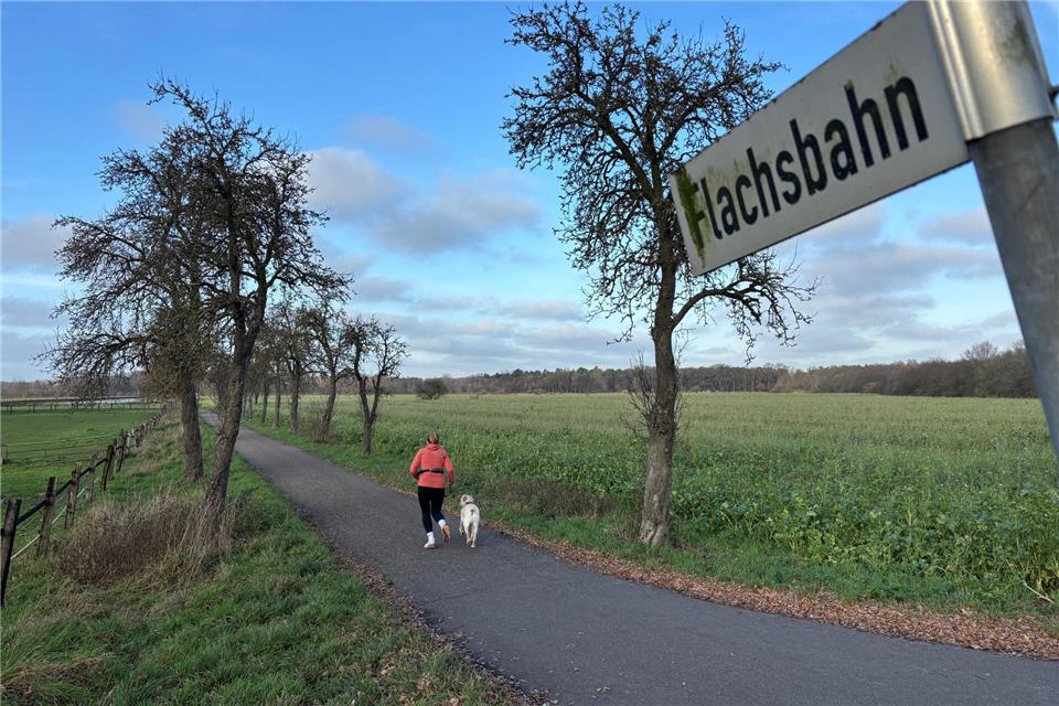 Die Flachsbahn selbst könnte zur Velo-Route werden, um das Gewerbegebiet auch für Radverkehr zu erschließen. Die Bäume könnten dann erhalten werden, stellte der Technische Beigeordnete Jürgen Kuhlmann in Aussicht.