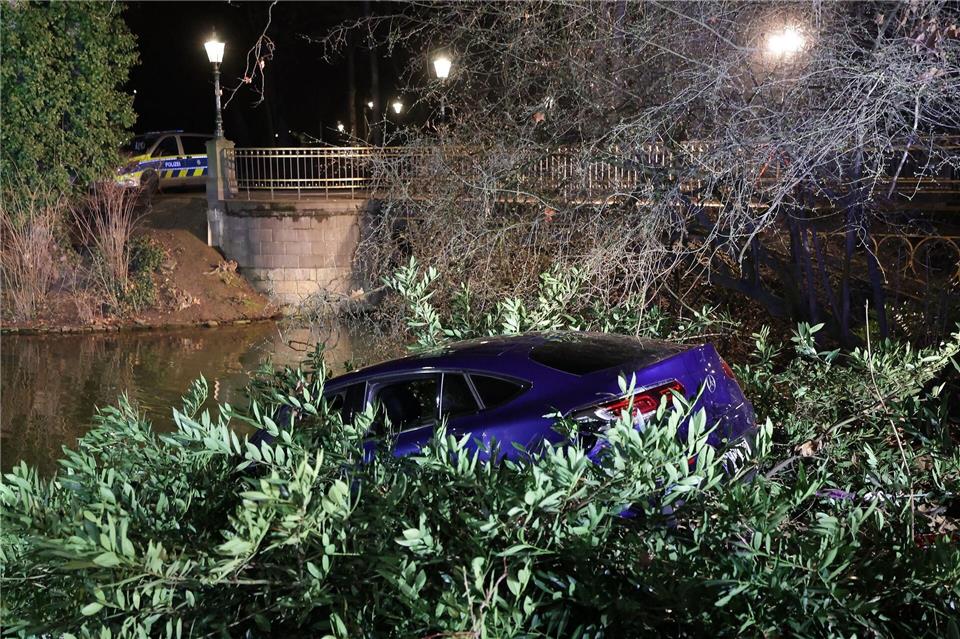 Die Flucht endete abrupt in einem Teich.D.J.Young/dpa