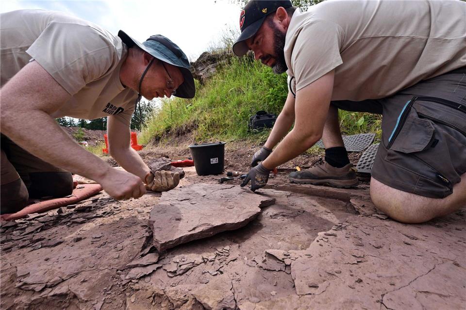 Die Fossillagerstätte Bromacker konnte bei neuen Forschungen genauer datiert werden. (Archivbild)Martin Schutt/dpa