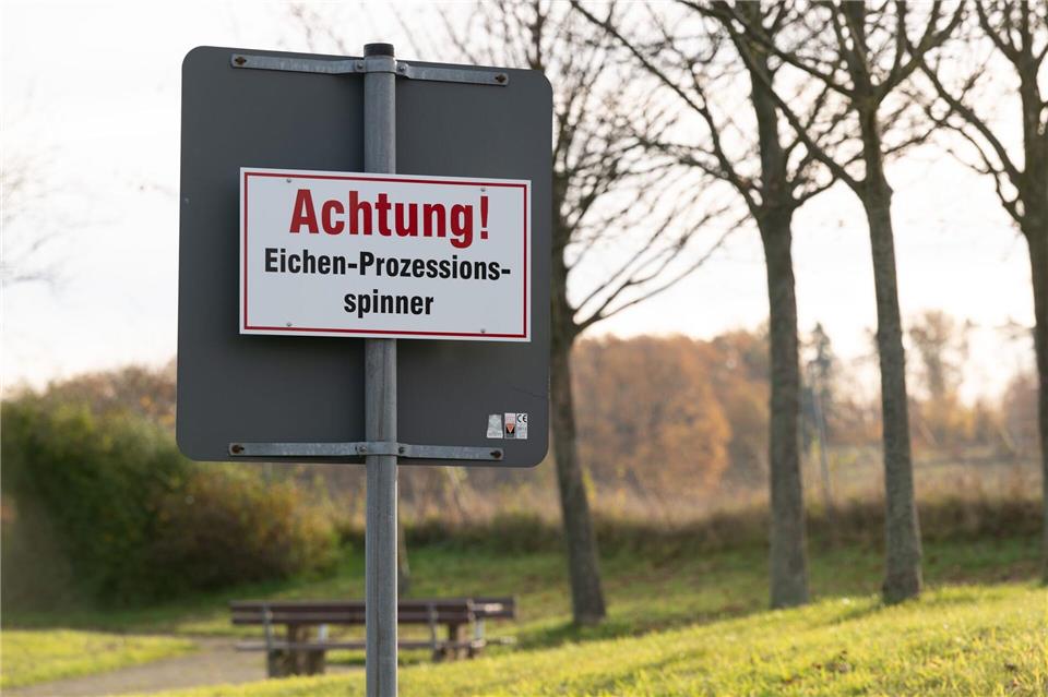 Die Fragen, wann und wie stark sich die Tiere ausbreiten, geben Experten weiter Rätsel auf. (Symbolbild)Sebastian Kahnert/dpa