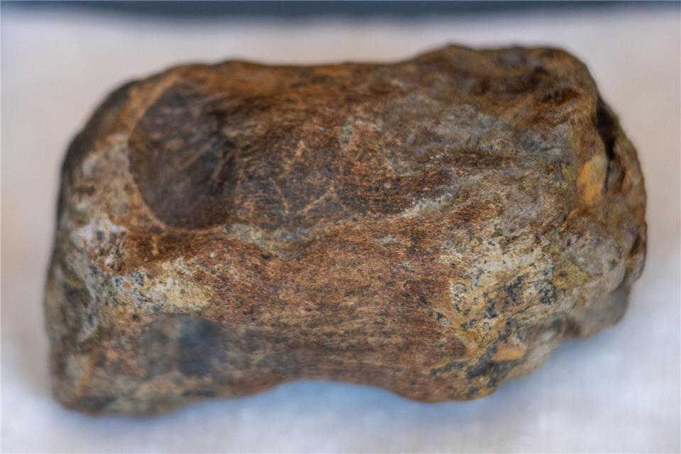 Die Funde sind rund 203 Millionen Jahre altHarald Tittel/dpa