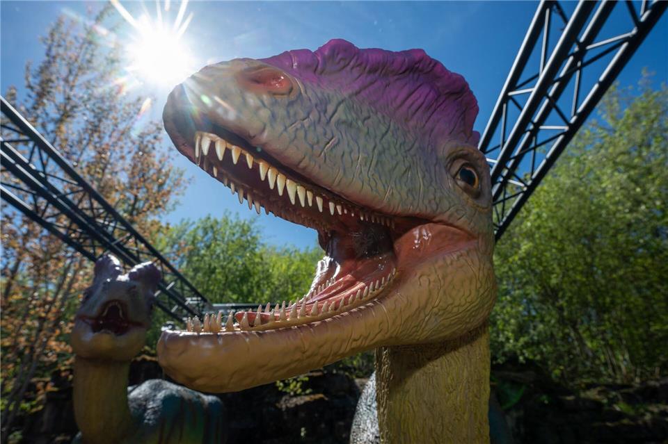 Die Funde sollen von einem Raubsaurier stammen, der rund vier Meter lang war Harald Tittel/dpa